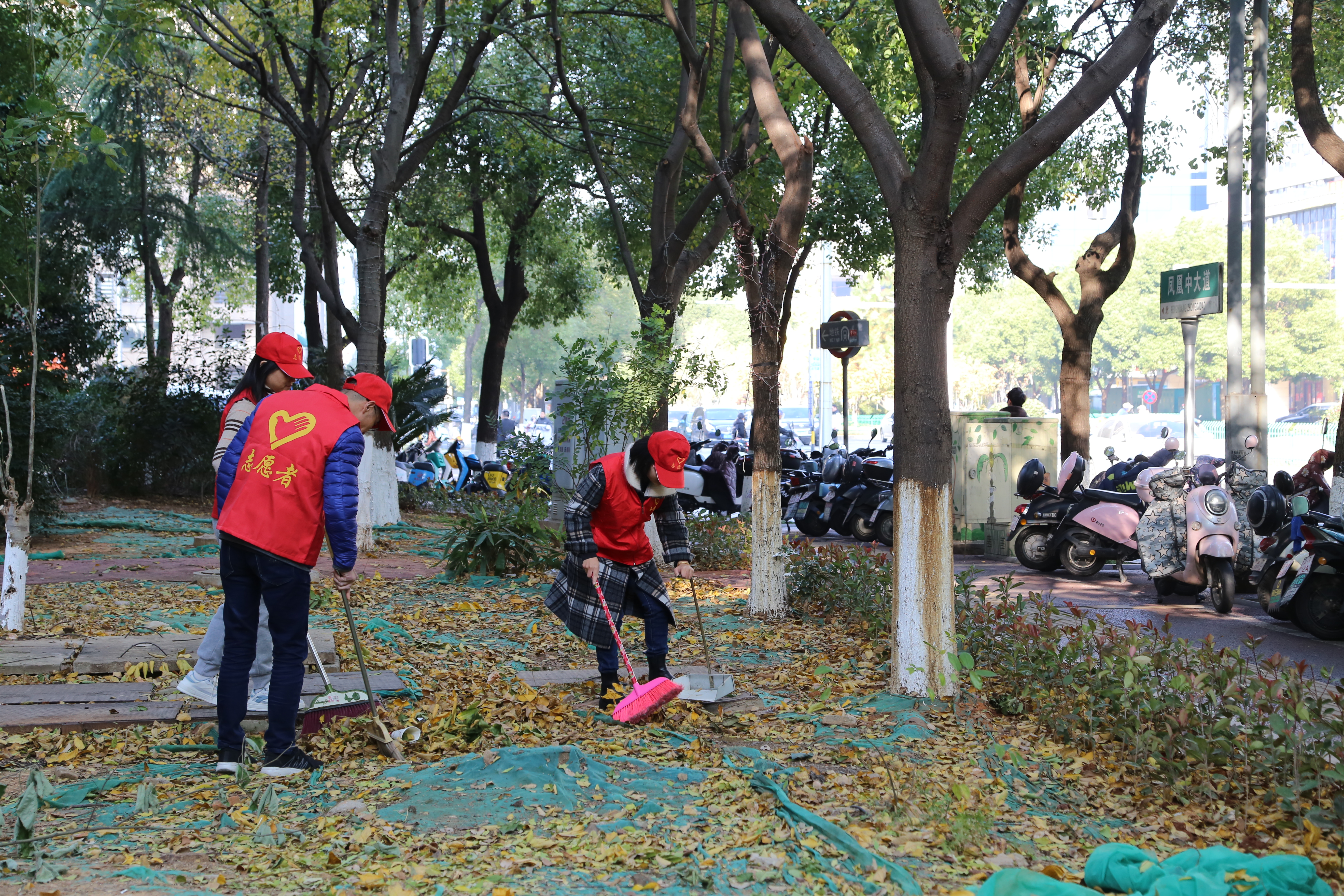 1702627224162201.jpg aeace264d6f6ab29b5c711084508e51.jpg